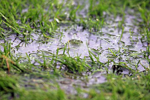 Guidance on postponement of matches